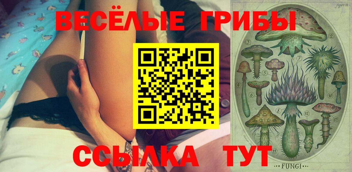 Псилоцибиновые грибы Cubensis  Галлюциногенные грибы Magic Shrooms  Карачаевск  Вход с VPN 